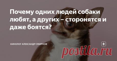 Почему одних людей собаки любят, а других – сторонятся и даже боятся? Статья автора «Кинолог Александр Смирнов» в Дзене ✍: Почему одним людям удается без особого труда установить контакт с собакой буквально за считанные мгновенья, а другим на это требуются не то, что...