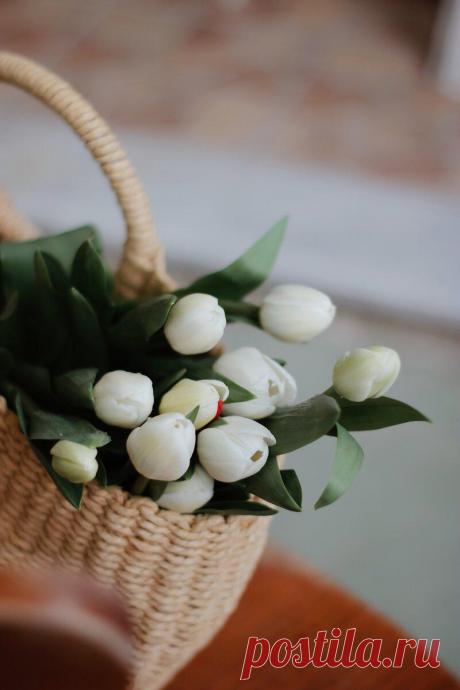 Астрологический прогноз на пятницу, 12 марта 2021 года. День Венеры
Шукравара — Пятница, день Венеры . Кришна Пакша, Чатурдаши — Четырнадцатый день Тёмной Луны. Благоприятный день для общения, свиданий, супружеских взаимоотношений, занятий с детьми, ведения домашнего хозяйства и кулинарии, обучения и образования, занятия науками, творчеством, изящными искусствами, живописью, музыкой, пением,...
Читай пост далее на сайте. Жми ⏫ссылку выше