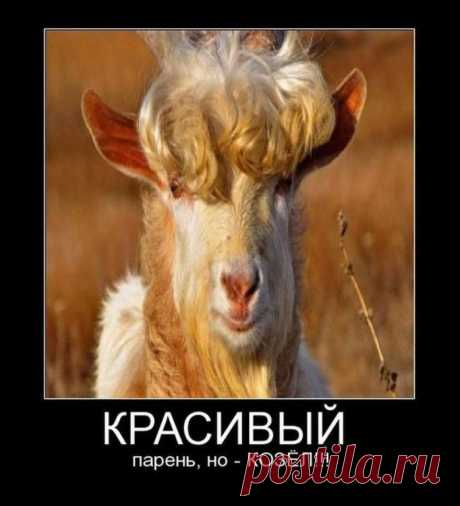 Только позитив и отличное настроение!!! ПРИСОЕДИНЯЙТЕСЬ!!!!