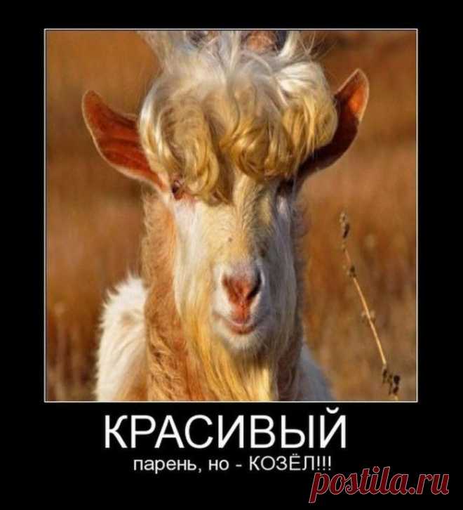 Только позитив и отличное настроение!!! ПРИСОЕДИНЯЙТЕСЬ!!!!