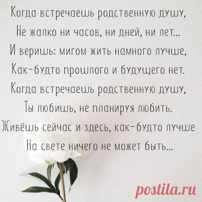 Без комментария