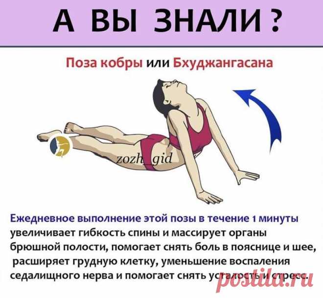 Поза йоги