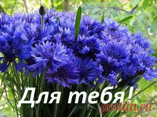 Картинка из галереи поздравлений