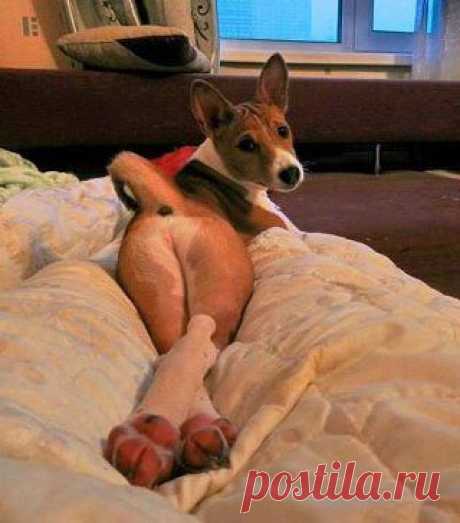 Ох уж это кокетство!:)))