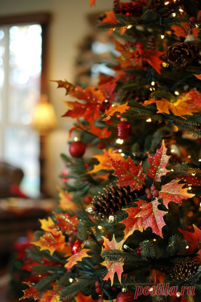 Изображение пина-истории