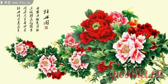 牡丹花工笔画高清_牡丹花工笔画高清画法