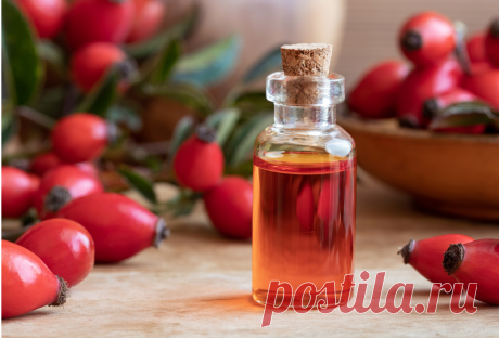 Масло цветков шиповника в косметологии. Сила природы для красоты кожи, волос и ногтей