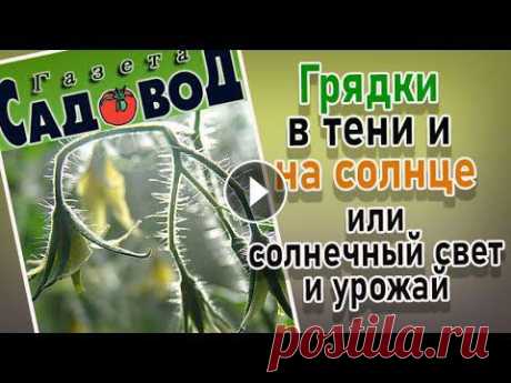 ГРЯДКИ В ТЕНИ И НА СОЛНЦЕ или СОЛНЕЧНЫЙ СВЕТ И УРОЖАЙ Какие овощные культуры можно выращивать в тени? Что такое солнечный свет, как он влияет на растения? Растения длинного и короткого дня....