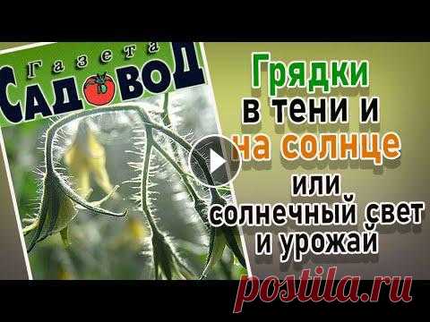 ГРЯДКИ В ТЕНИ И НА СОЛНЦЕ или СОЛНЕЧНЫЙ СВЕТ И УРОЖАЙ Какие овощные культуры можно выращивать в тени? Что такое солнечный свет, как он влияет на растения? Растения длинного и короткого дня....