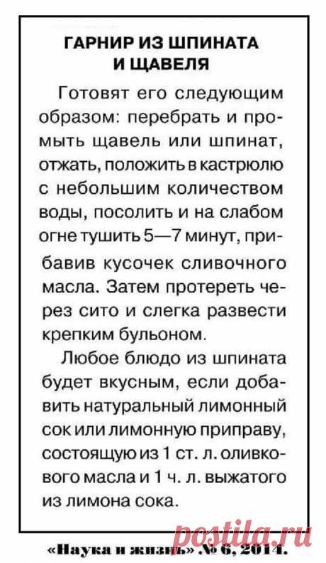 Гарнир из шпината и щавеля