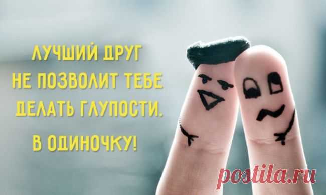 Сравним? Друзья и лучшие друзья! - Цитаты, афоризмы, пословицы - Женский Мир