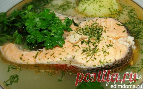 Калья (праздничная уха) из жирной рыбы (палтус, камбала, зубатка)