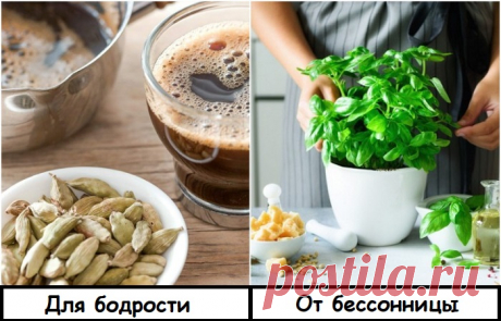 10 полезных свойств пряностей, о которых не всегда знают и провара-профи