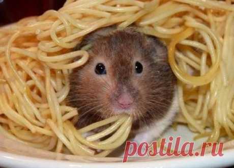 ))))