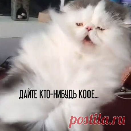 Каждое утро