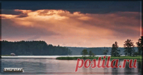s-66823.gif (500×264)