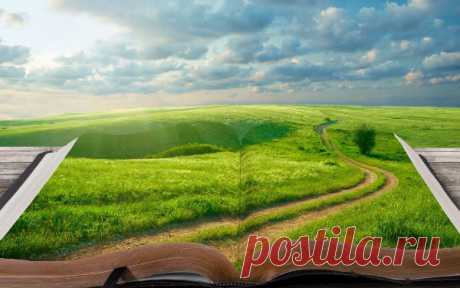 Энергетический прогноз на 2016 год - Обезьяны | «Академия Улыбки и Су Джок»