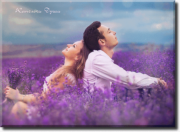 Мой Мир@Mail.Ru