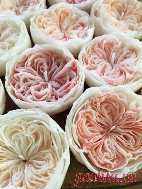 (357) Pinterest