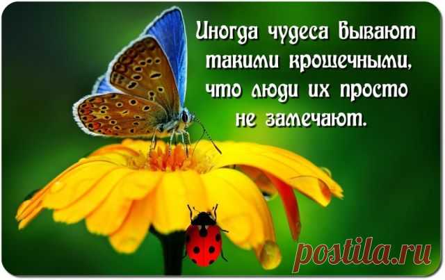 Мне было лет четырнадцать.

Я ехала в троллейбусе без билета, когда зашли контролёры. Как честная и правильная девочка, я предсказуемо растерялась и почти готова была расплакаться, когда вдруг незнакомый молодой человек, который, видимо, заметил мою панику, ни слова не говоря, вложил мне в руки талон и вышел.

Двери закрылись. 
Я не успела сказать «спасибо».

Я просто пробила талон и вот уже больше пятнадцати лет храню его в школьном блокноте как напоминание о том дне, ког...