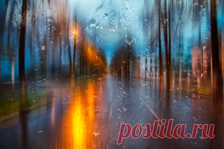 Дождливым вечером — National Geographic Россия