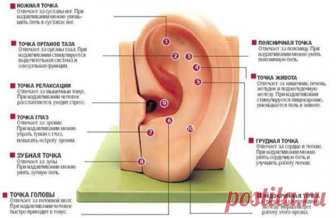 Море идей - рукоделие, декор дома, поделки и hand made.