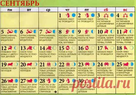Лунный посевной календарь на сентябрь 2016 года