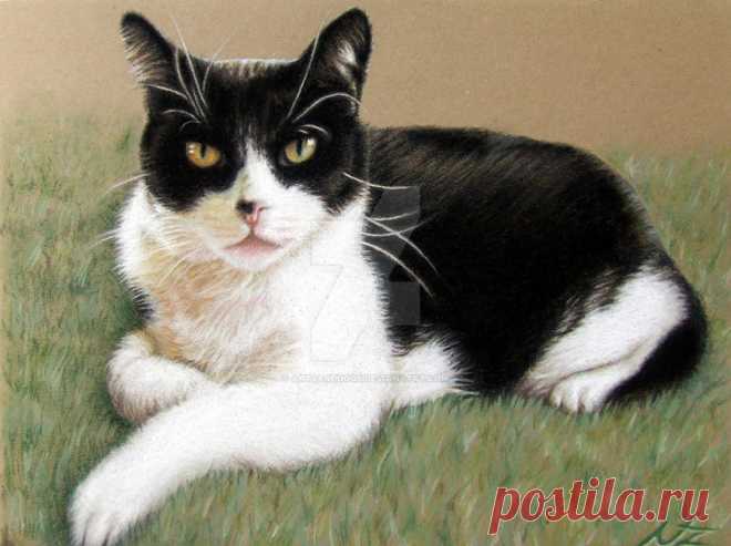 Tomcat Baloo by ArtsandDogs on DeviantArt