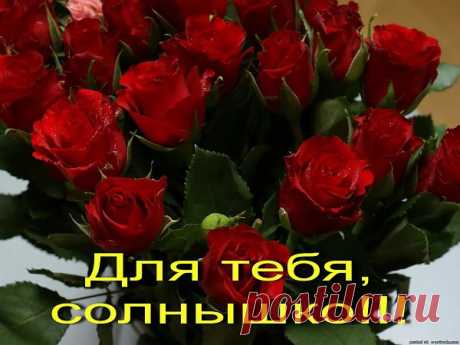 Не мигает огонек на сайте
Тот, который с нетерпением жду
&quot;Вы, пожалуйста, не пропадайте!&quot;
Я друзьям, с волнением, говорю
Не для этого мы повстречались,
Чтоб расстаться снова навсегда
Не бывает все совсем случайным
И не исчезает без следа
Дружба верная всего дороже
Не купить, не выменять за грош
Настоящей стать она лишь может
Когда с другом ты душою схож
Если сердце то поет, то плачет
Чувства лягут строчками в куплет
Друг поймет! Не может быть иначе!