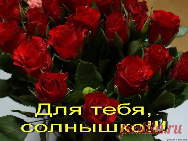 Не мигает огонек на сайте
Тот, который с нетерпением жду
"Вы, пожалуйста, не пропадайте!"
Я друзьям, с волнением, говорю
Не для этого мы повстречались,
Чтоб расстаться снова навсегда
Не бывает все совсем случайным
И не исчезает без следа
Дружба верная всего дороже
Не купить, не выменять за грош
Настоящей стать она лишь может
Когда с другом ты душою схож
Если сердце то поет, то плачет
Чувства лягут строчками в куплет
Друг поймет! Не может быть иначе!