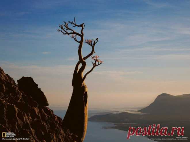 Лучшие фотографии National Geographic за сентябрь 2012 » Бяки.нет