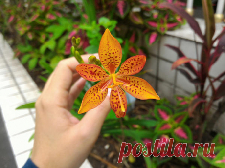 Новости - МирТесен