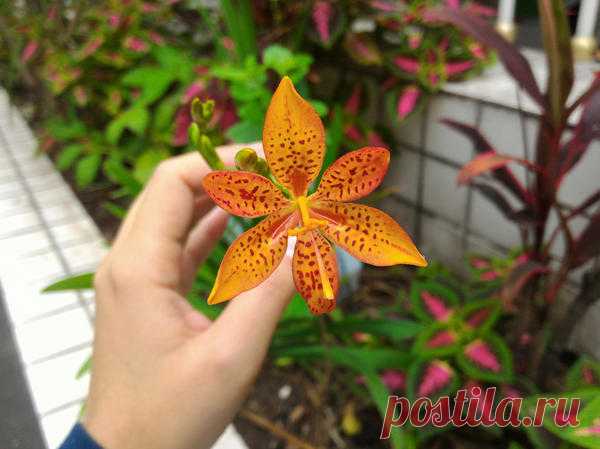 Новости - МирТесен