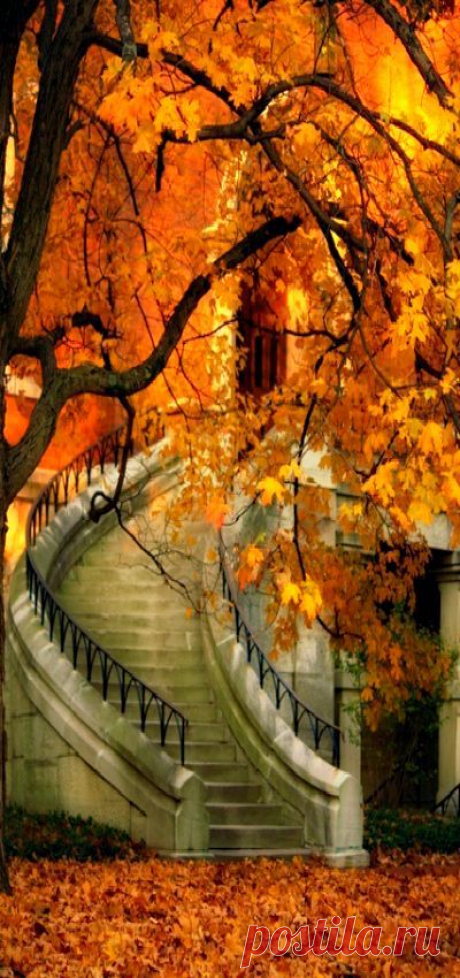 ~ Fall ~ | Autumn Glory