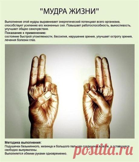 Мудры — йога для пальцев (10 основных позиций) - Искусство здоровой жизни