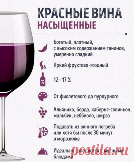 Шпаргалки для тех, кто любит вино — Кулинарная книга - рецепты с фото