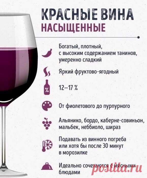 Шпаргалки для тех, кто любит вино — Кулинарная книга - рецепты с фото