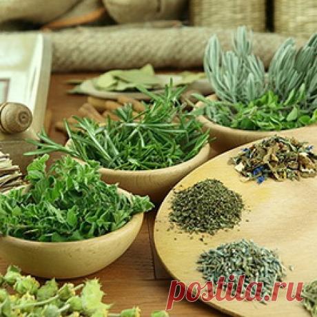 Синдром Рейно, склеродермия - недуг холодных рук