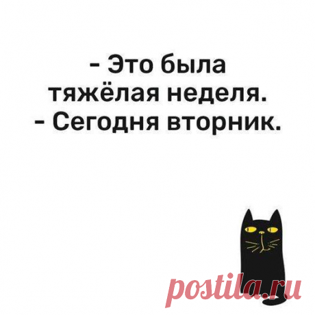 Владимир SK (@V68SK) / X