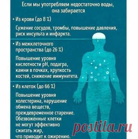 (56) Одноклассники