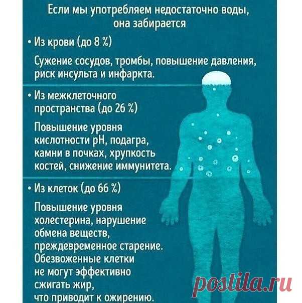 (56) Одноклассники