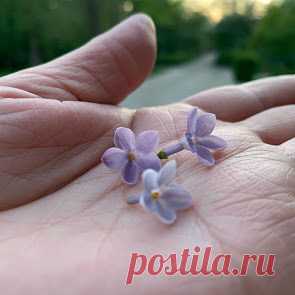 crugozor.ru