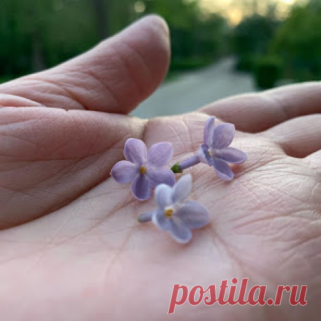 crugozor.ru