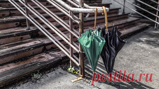 МЫ РЕАГИРУЕМ: БОЛЬЮ, ОБИДОЙ, ГНЕВОМ
 
На все плохое мы адекватно реагируем... 
Меняется гормональный обмен, работа нейромедиаторов меняется. Потом нас утешают или мы успокаиваемся, все нормализуется. И мы корим себя за проявленные эмоции; надо было помедитировать, улыбнуться, проявить буддийское спокойствие, сделать усилие! 
 
Это называется 