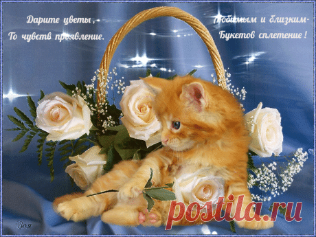 Дарите цветы!
