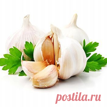 Немного о чесноке и петрушке / Все для женщины