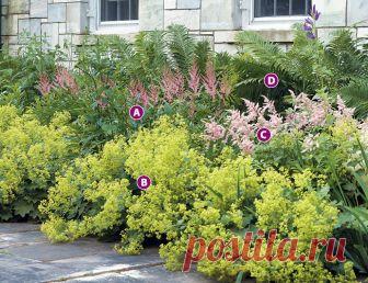 No more dull foundations | Garden Gate Magazine