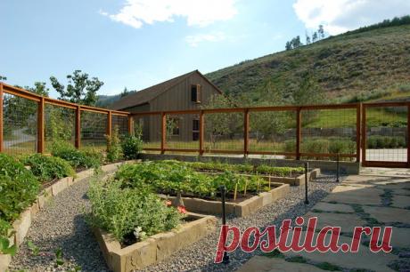 Ограждения для грядок: 72 идеи огражений для грядок своими руками с фото