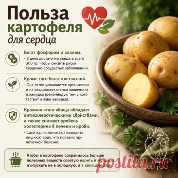 Польза картофеля для сердца