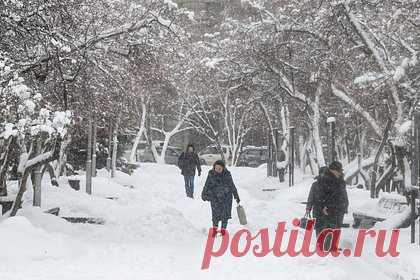 Площадь снежного покрова в России оценили